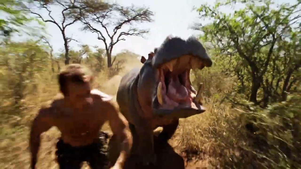 היפופותם רודף אחרי בנאדם! תיעוד נדיר